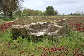 ラ・グルアの巨石記念物