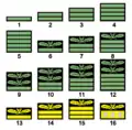 上腕用の階級章。1～5が下士官、6～8が尉官、9～12が佐官、13～16が将官のもの。