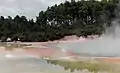 Waiotapu Waiotapu Artist's Palette.
