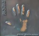 国技館辺に展示されている若乃花幹士の手形