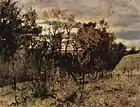 ドモトカノホ, 1886年