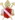 レーゲンスブルク司教領