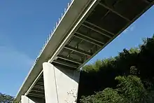 画像左 : 伊勢湾岸自動車道の飛島高架橋。右側が1985年開通、左側が1998年開通。右側の従来のタイプは主桁間隔を約3&nbsp;m、本数を7本としたが、左側では間隔を倍にして主桁本数を3本に減らした。画像右 : 伊勢湾岸自動車道で先行した鋼少数主桁を新東名ではさらに改良して採用。画像は藁科川橋で、主桁は2本に減らされ、主桁間隔は11&nbsp;mに拡大された。時代の変遷により工法が大きく進化していることがわかる。