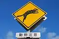 イリオモテヤマネコの絵が描かれている道路標識