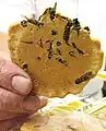 地蜂せんべい(長野県大町市)
