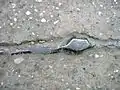 鉛製の水道管