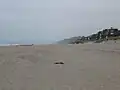 ワトソンビル・パームビーチ