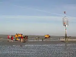 Mudflat car with day trippers in the Sahlenburger Watt near Cuxhaven, on the way to the Neuwerk