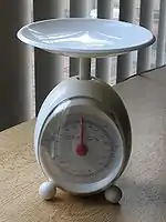 1 kgまで量れる質量計(秤)