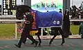 日経新春杯