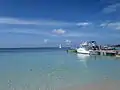 ウェスト・ベイの日常