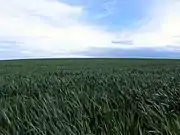 春の終わりごろ
