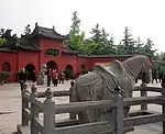 山門前の白馬