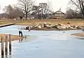 ヴィーツェパルク