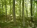 ムシツィエンツィノ公園