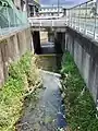 大慈悲院川下流（道路をくぐった先が大谷川放水路）