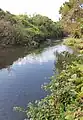 瀬名新川の下流（清水区鳥坂）