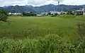 能島遊水地（清水区北脇新田）