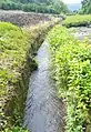 谷津沢川上流（清水区馬走）