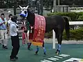 白山大賞典