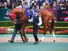 14　ウインテンダネス
