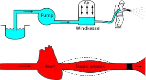 図.34 ウィンドケッセルモデル心臓(Heart)がポンプ(Pump)、弾性動脈(Elastic arteries)が空気室(Windkessel)に相当する