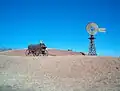 荷車と風車(アメリカ ラボック National Ranching Heritage Center )