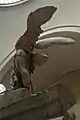 修復前。背面から