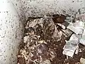 その内部の様子
