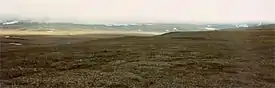 ウランゲリ島に広がるツンドラ