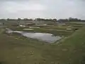 WWT ロンドン・ウェットランド・センター