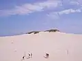 ポモージェ地方の大砂丘