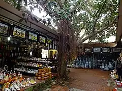 バッチャン村