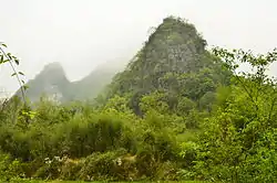 小七孔