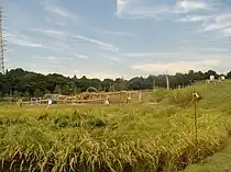 棚田・段々畑