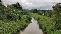 矢田川（大坪町・田中町境）