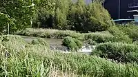 矢田川（東米泉町・弁天町境）