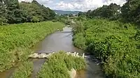 矢田川（西本地町・高根町境）