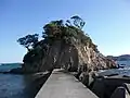 大矢取島
