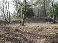 曲輪と土塁