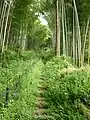 居館への大手