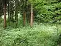 秀次居館曲輪跡