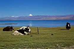 マーナサローワル湖とカイラス山