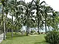 自然にあふれた海岸