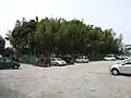 52号墳