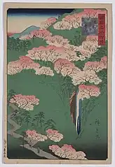 33.大和よし野山（さくら）（安政6年10月）