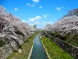 山崎川