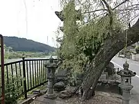 柳の渡し（世界遺産登録範囲外の大淀町にある）