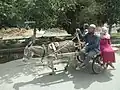 ヤルカンドでの道端風景2