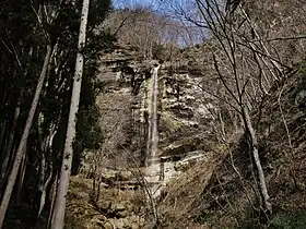 林の中の八坂の大滝